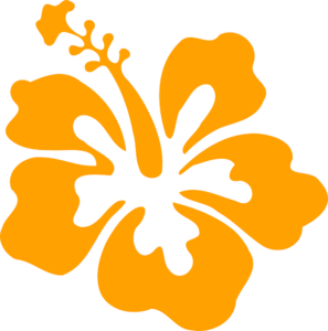 Graphic of orange hibiscus blossom