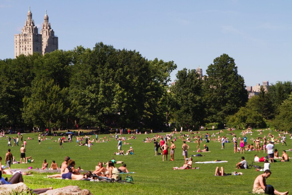 Photo by Ramaz Bluashvili: https://www.pexels.com/photo/people-sitting-on-green-grass-field-7070933/