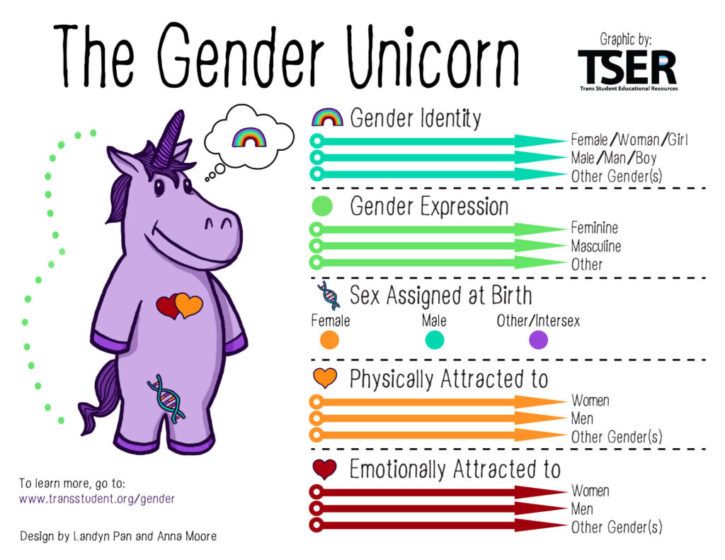 A purple unicorn. There are 5 sections with several arrows in each (arros read female, male, and other). The sections read: Gender identity, gender expression, physically attracted to and emotionally attracted to. The fifth section reads Sex assigned at birth with the options Female, male and other/intersex.