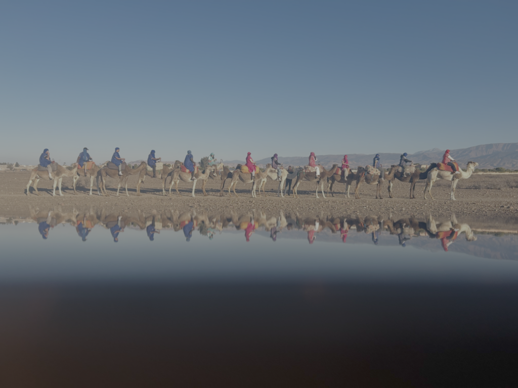 BMCC students riding camels in Marrakesh, Morocco