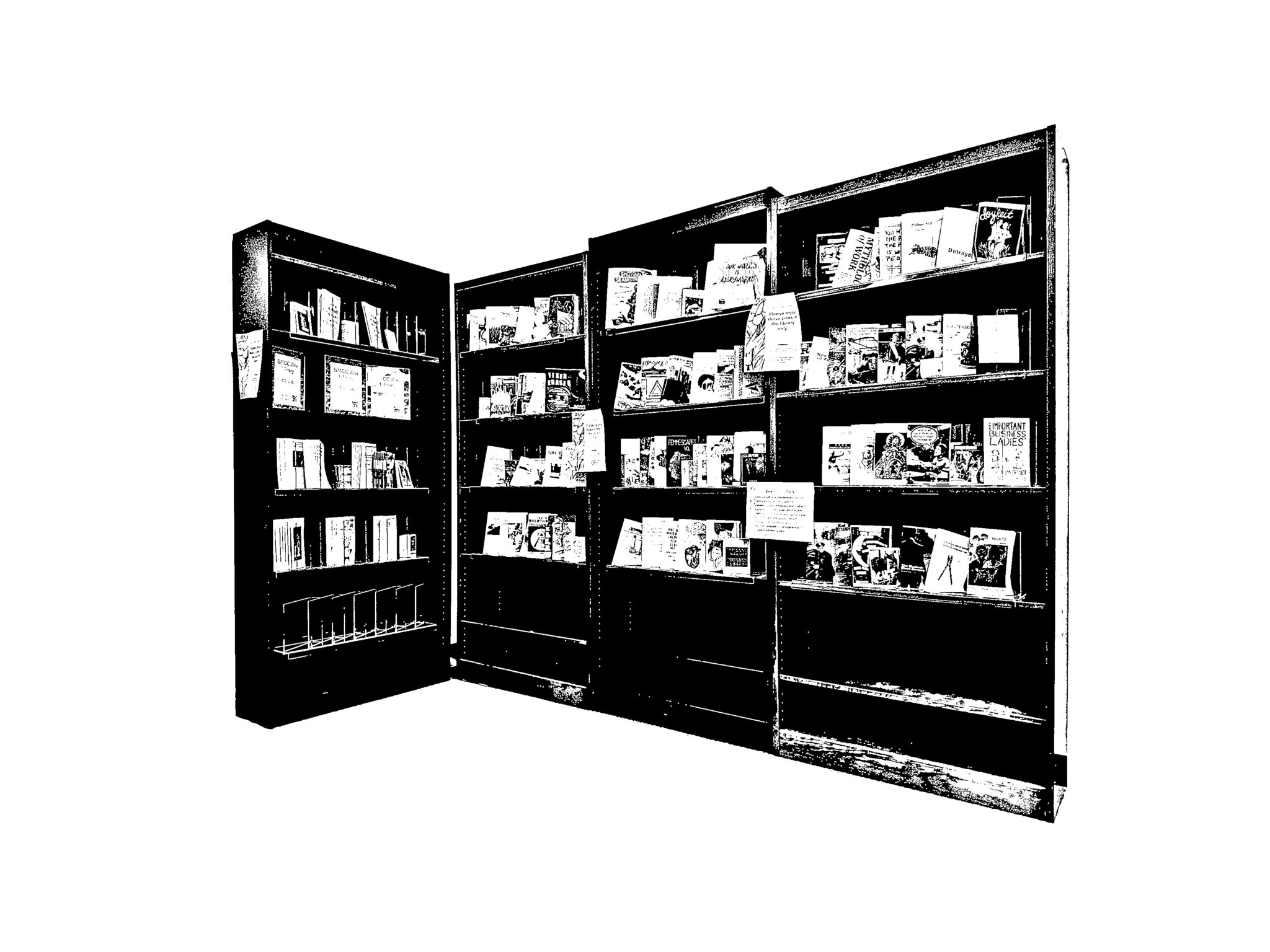 About the Collection – BMCC Zine Library