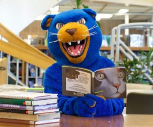 the BMCC panther sitting at a table in the library with a stack books and reading a book that appears to be about cats