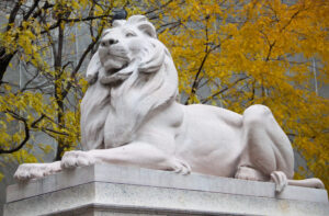 iconic lion statue sitting in front of the NYPL main branch entrance