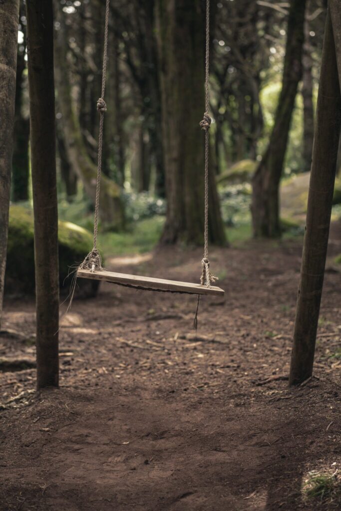 empty swing hanging in the woods