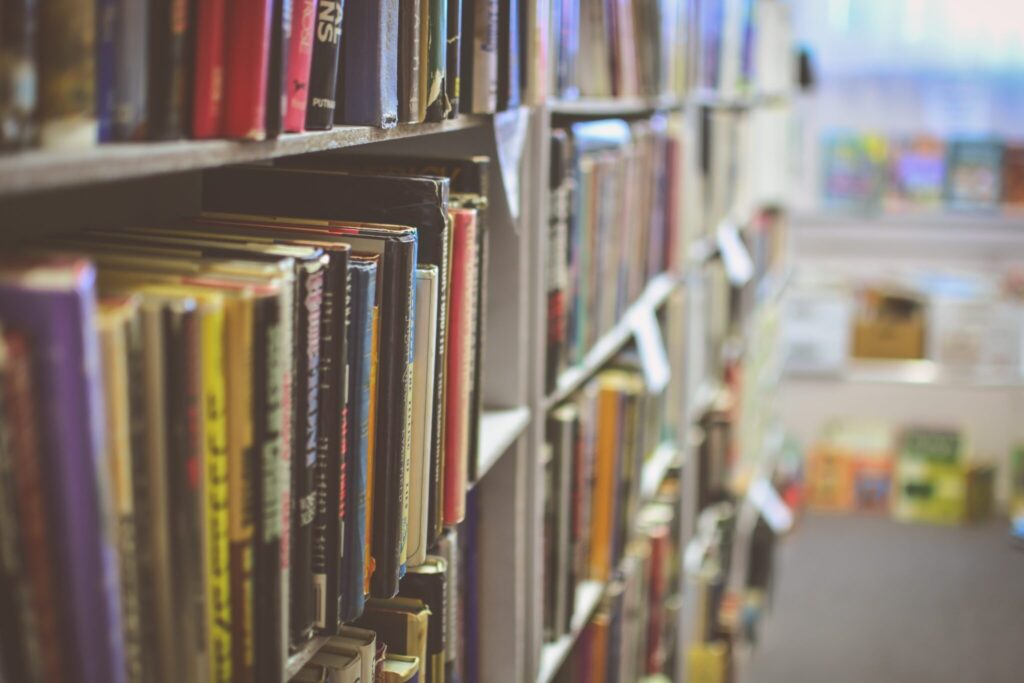 bookshelves filled with books