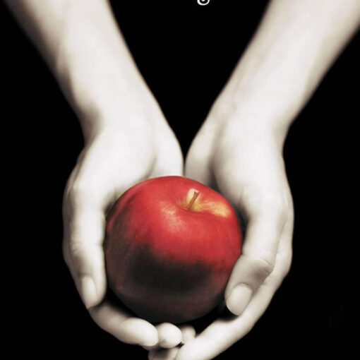 book cover of Twilight by Stephanie Meyer