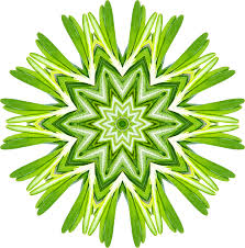 Green kaleidoscope flower