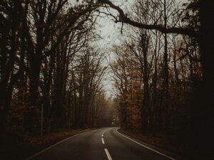 Eerie road through woods