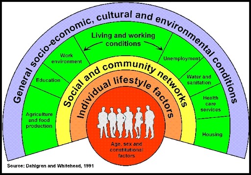 Model of determinants of health. In the middle of the image are biological factors, then individual lifestyle behaviors, then social and community networks, then socio-economic, cultural and environmental factors