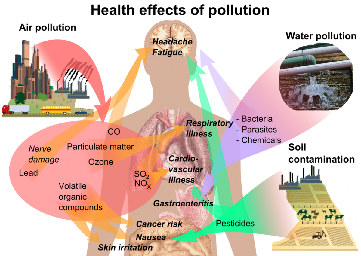 What Is Environmental Health HED 110 Comprehensive Health 