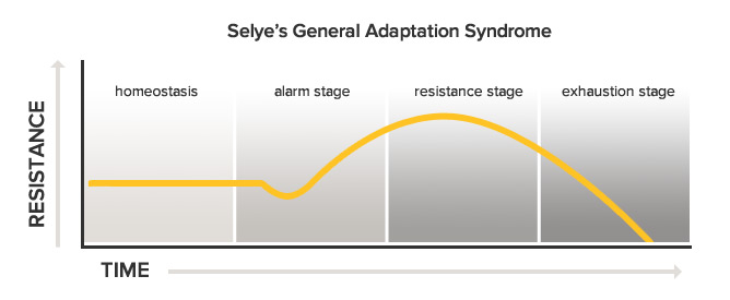 General Adaptation Syndrome