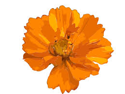 Painting of yellow flower