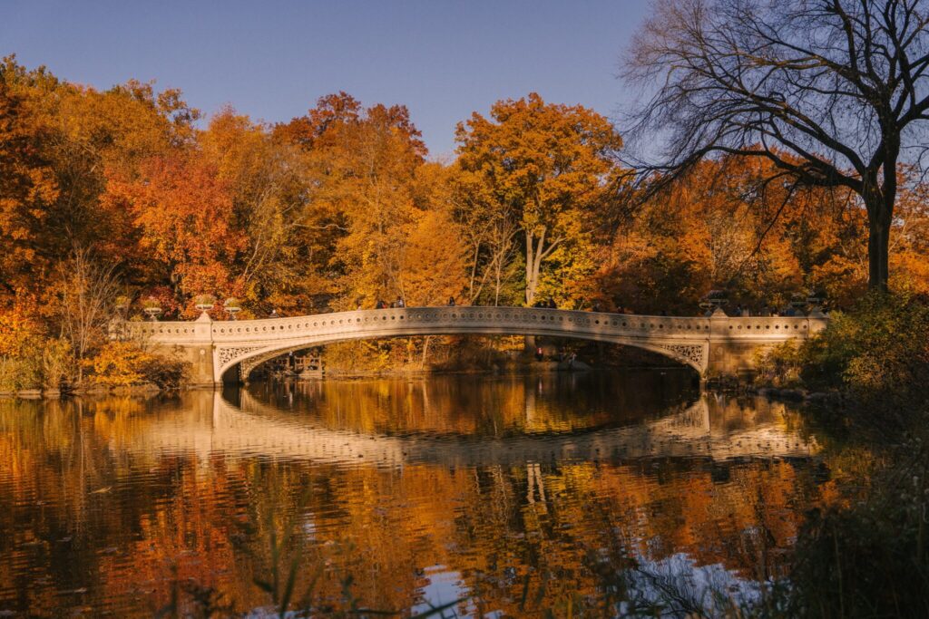 Photo by Marta Wave: https://www.pexels.com/photo/bow-bridge-over-calm-lake-placed-in-autumn-park-5876680/