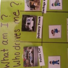 Cameal Anderson's Portfolio