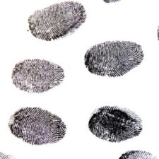 CRJ 102 | Criminology | Course Hub